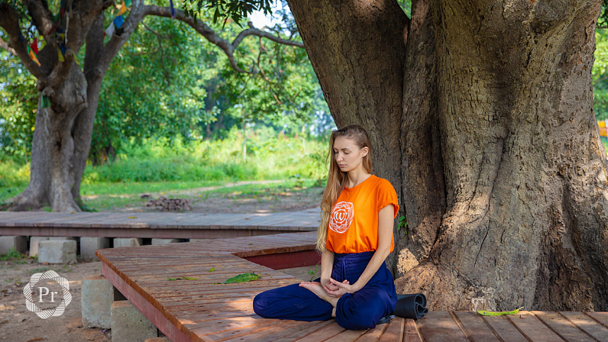 медитация под деревом фото