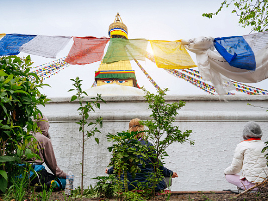 Яма в йоге: пять принципов для гармоничной жизни