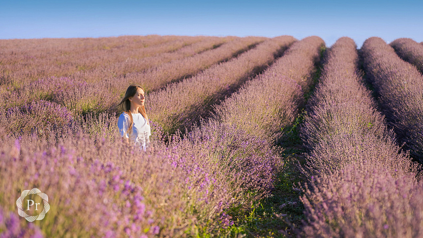 девушка в лаванде фото