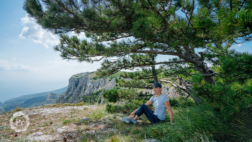 зелень в горах фото