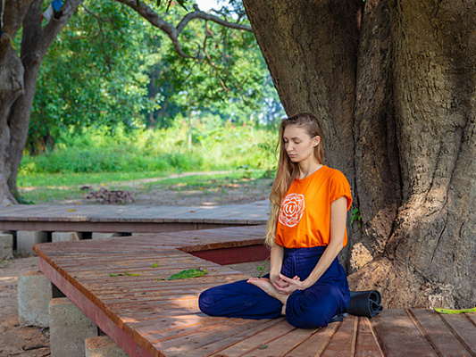 Секрет дхьяна-мудры: глубокая медитация и внутренний покой