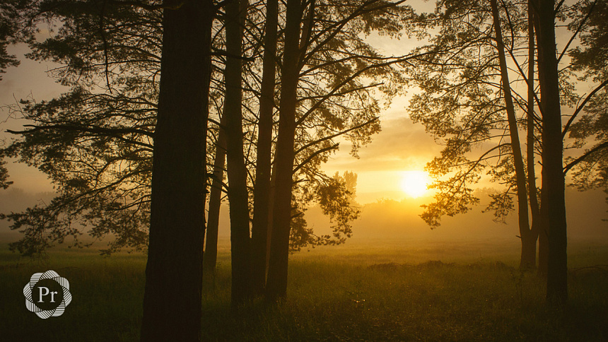 солнце встает фото