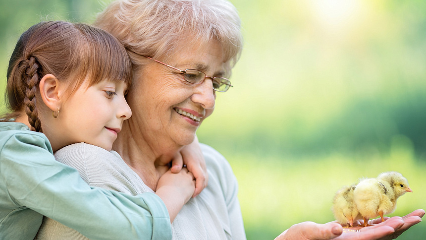 ахимса фото